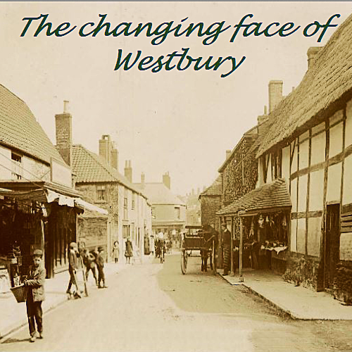 Thumbnail of Liz Argent: The Changing Face of Westbury 