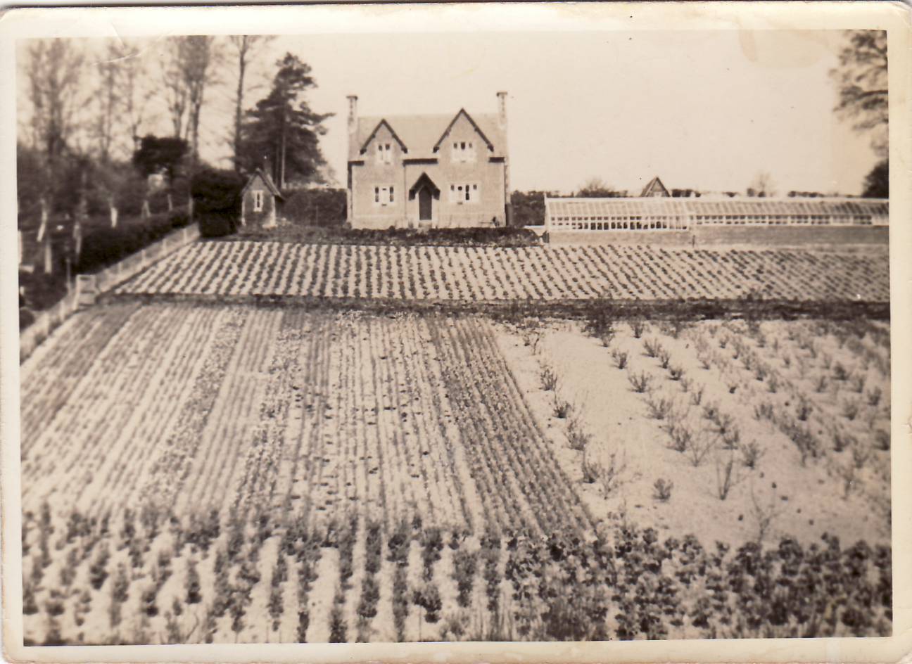Church_Hill_Cottage.JPG