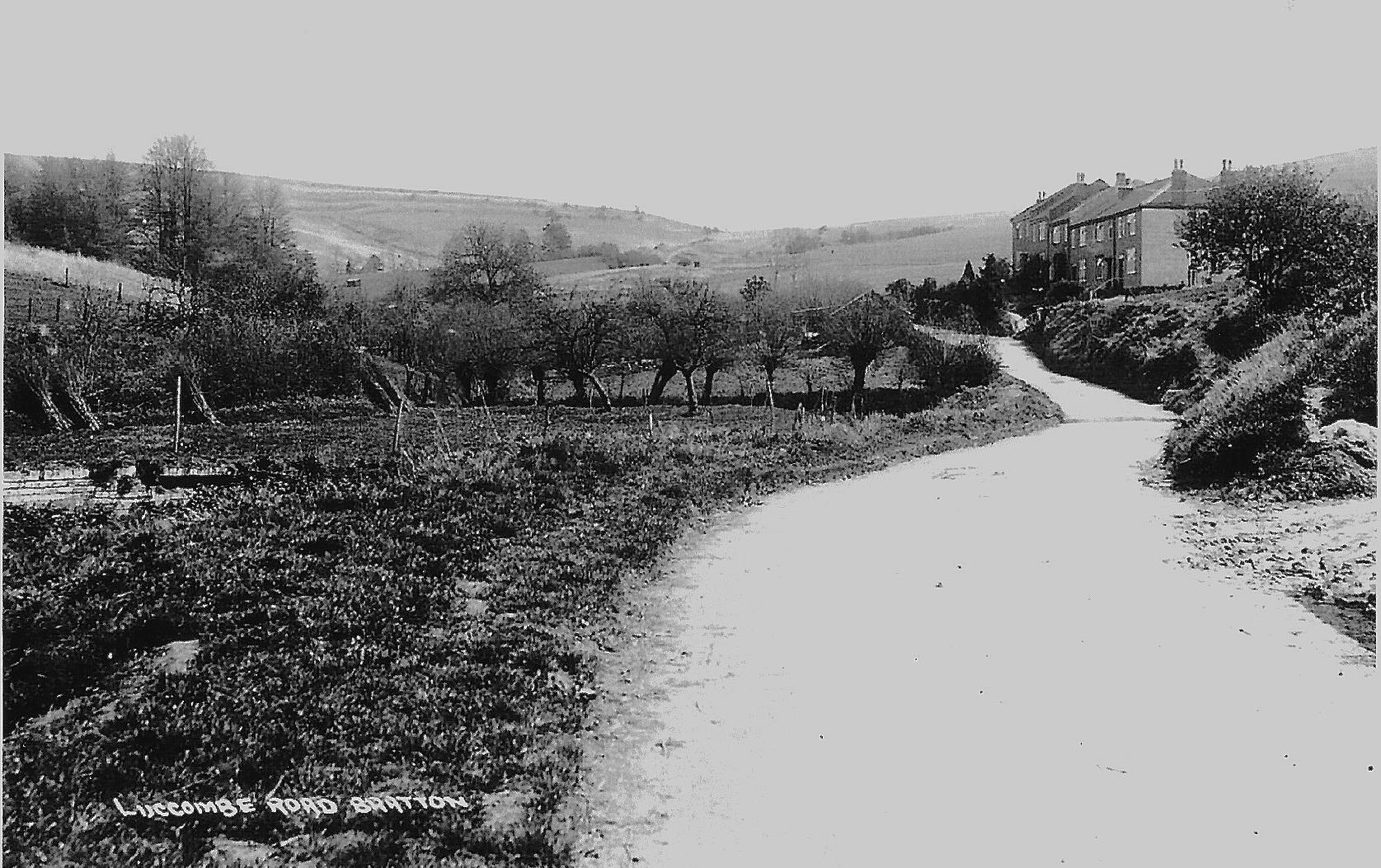 Luccombe_Road.png