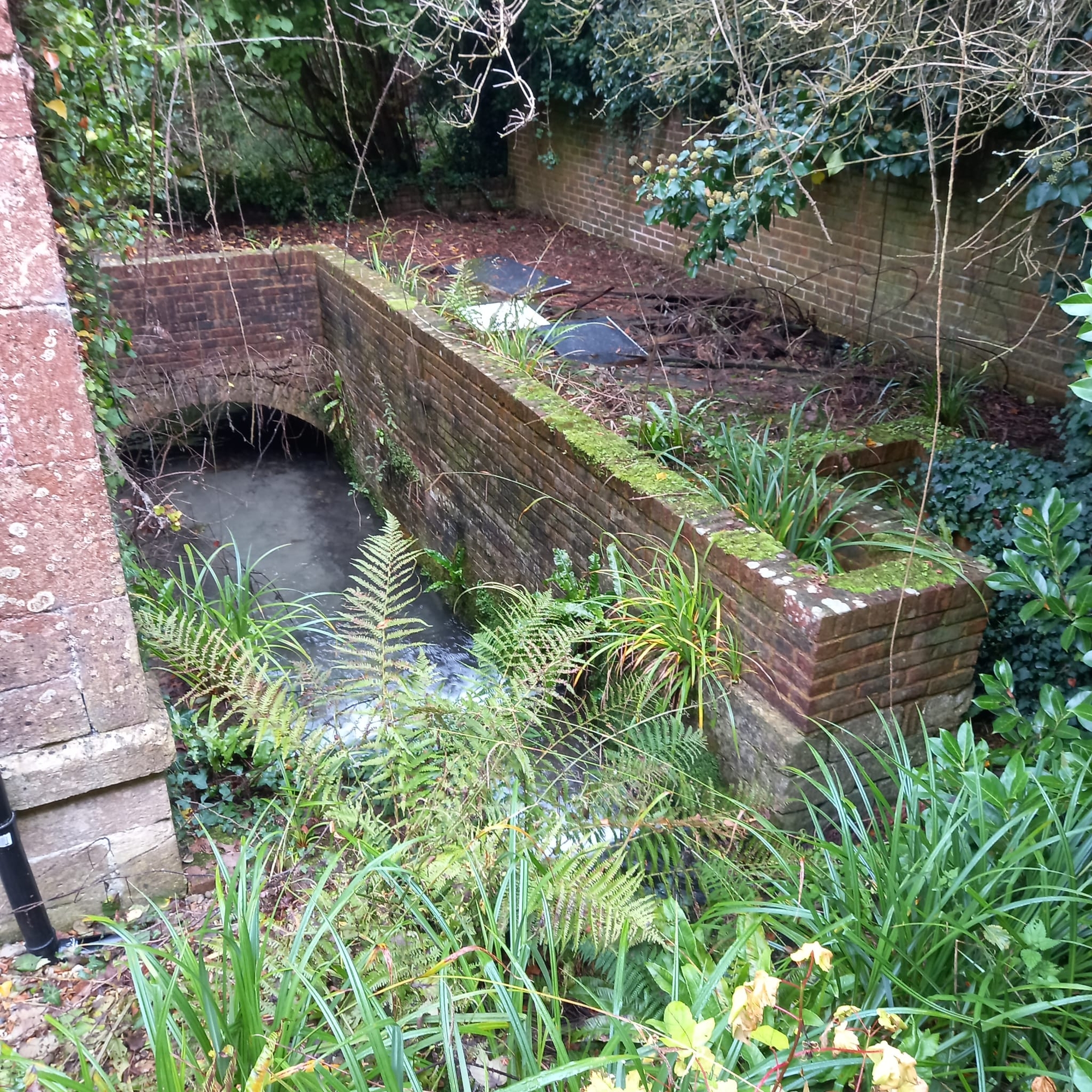 Bridge_Mill_2.jpg