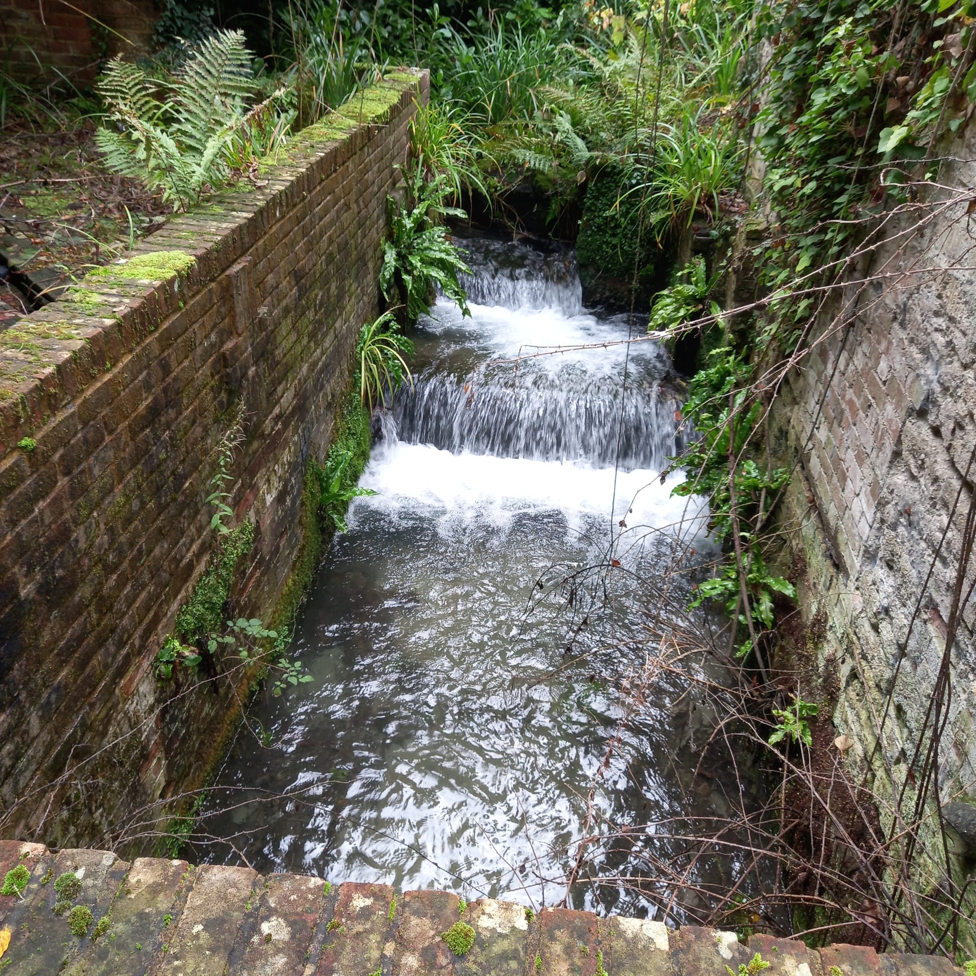 Bridge_Mill_3.jpg
