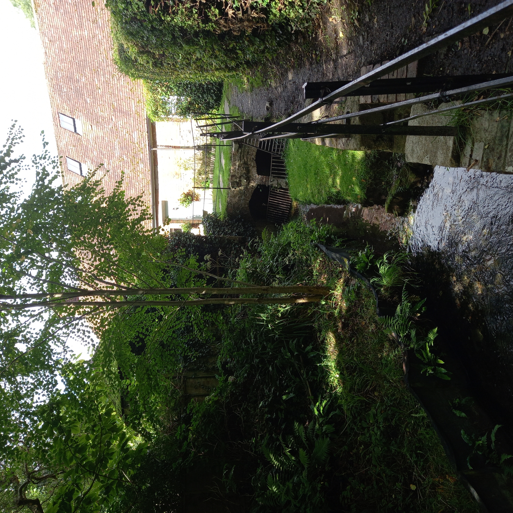 Old_Mill_2.jpg