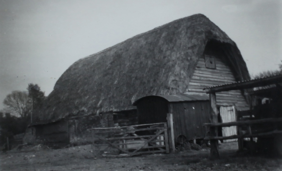 Yew_Trees_Barn_Thatched.jpg