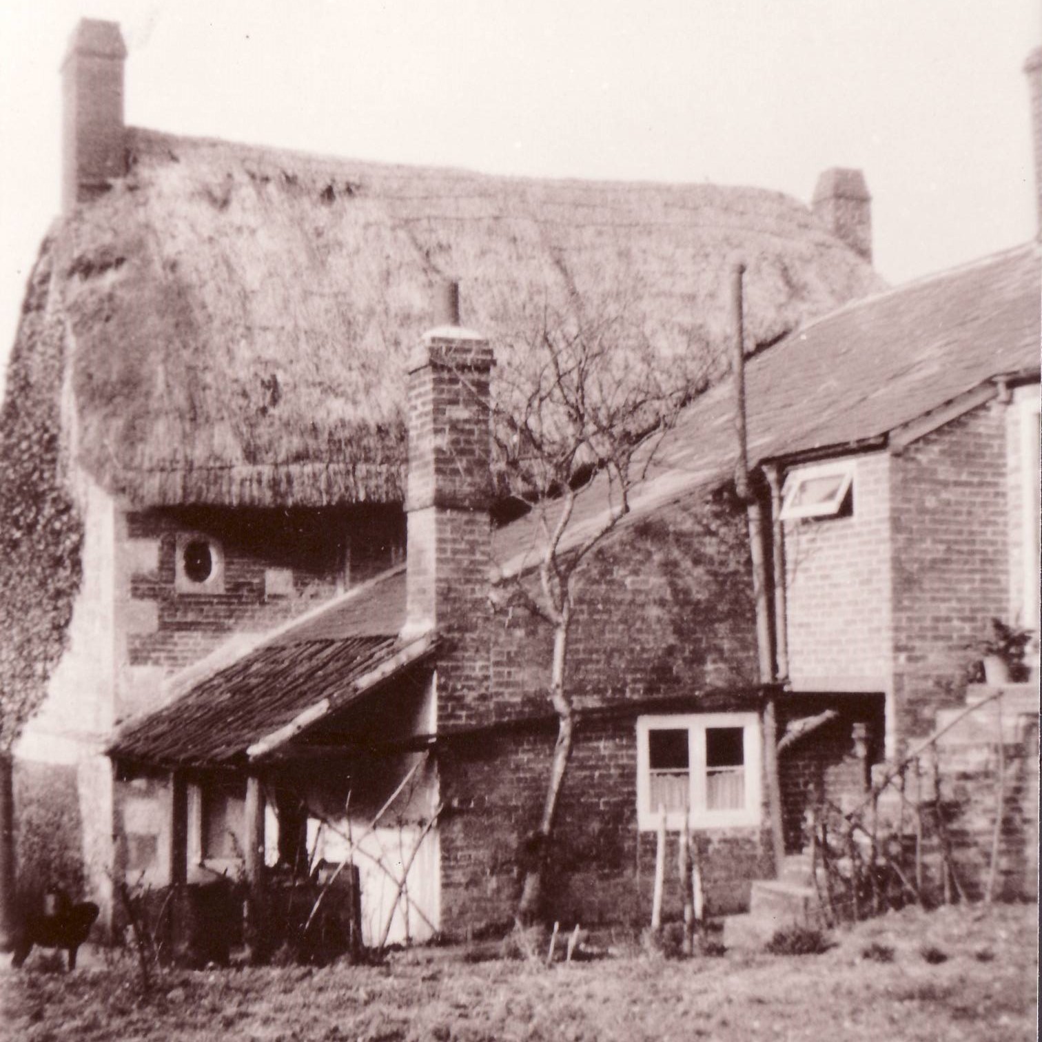 Thumbnail of Ivydene - Lower Road