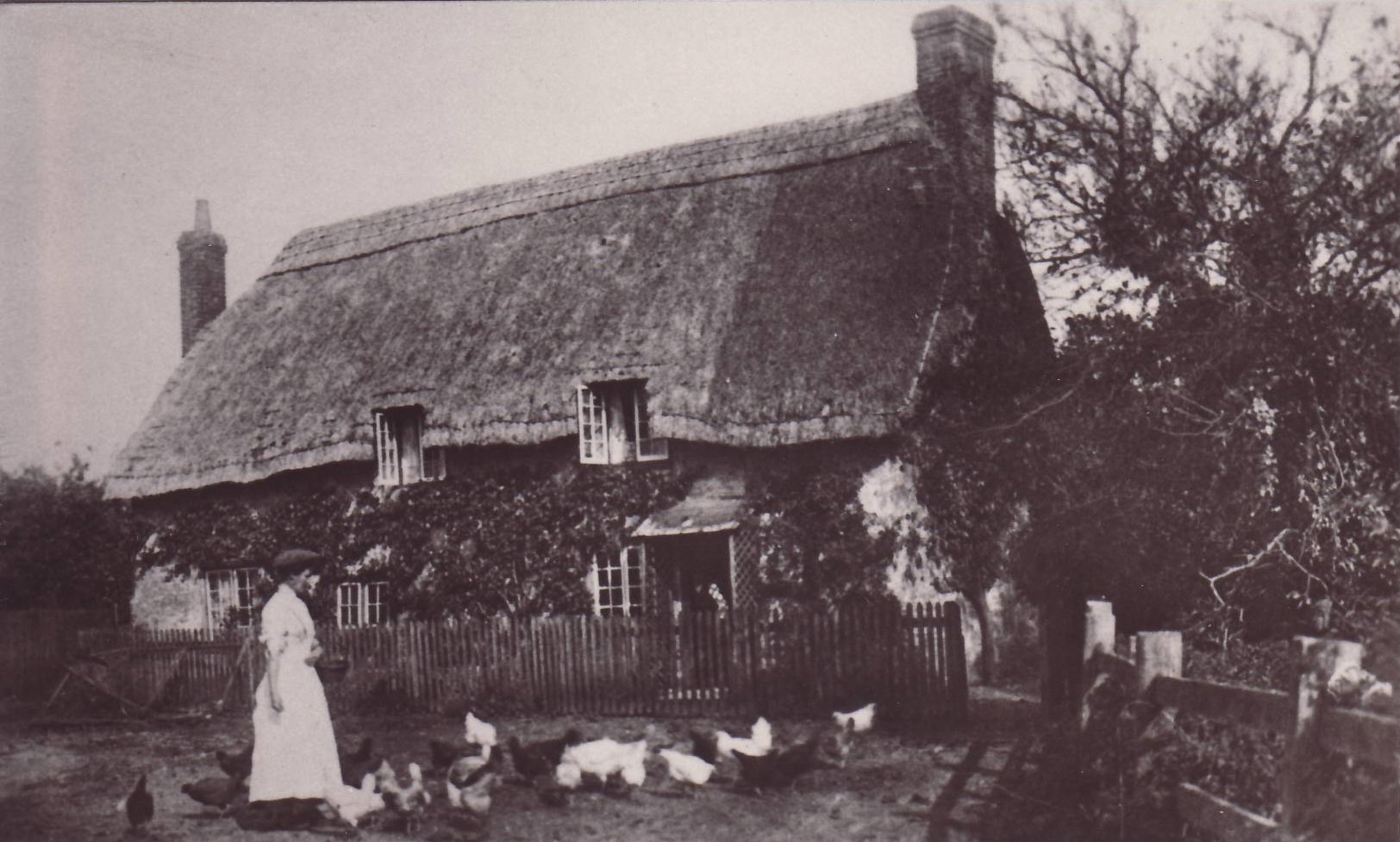 Thumbnail of Emm's farm