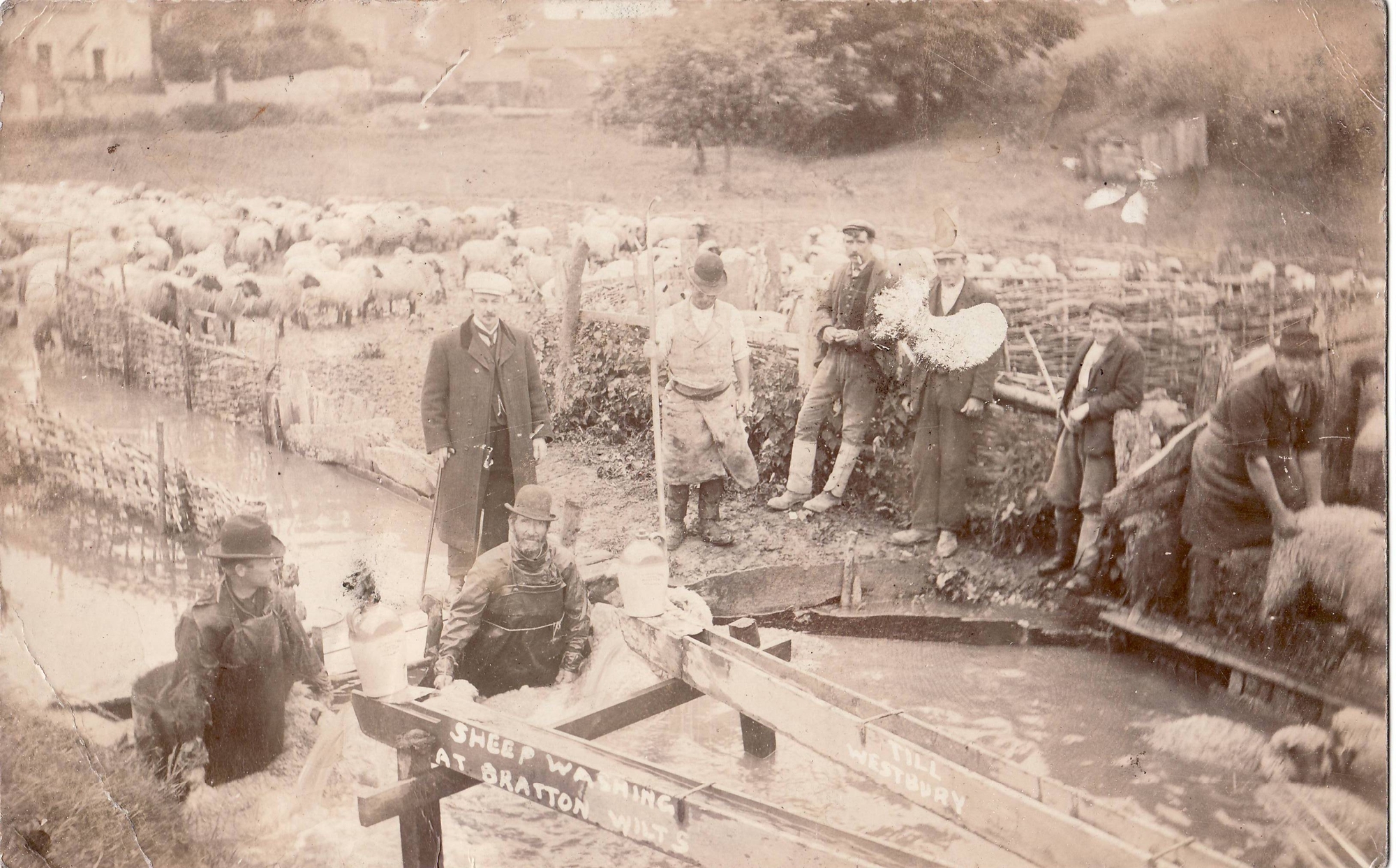 Thumbnail of Hill Farms