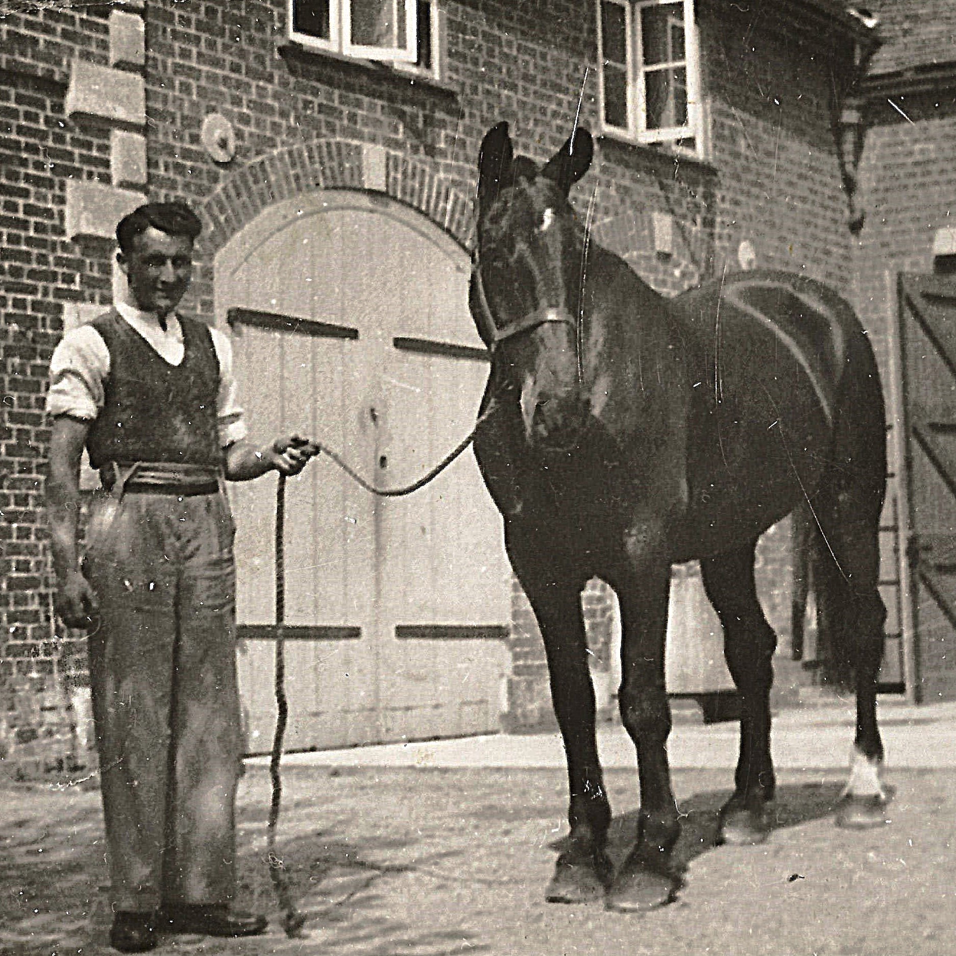 Wally Shibley